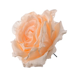 Бутон Розы кремовый  (от 100 штук)
