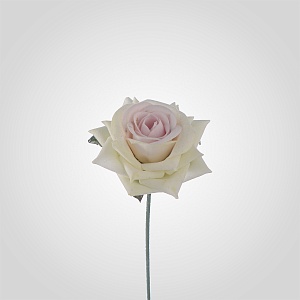Бутон Розы Кремово-Розовый от 100 штук (Цветоножка продается отдельно)