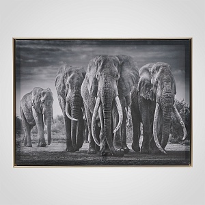 Интерьерное Панно на Холсте "Elephants" 70х50 см.