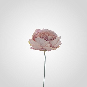 Бутон Пиона Розовый от 200 штук (Цветоножка продается отдельно)