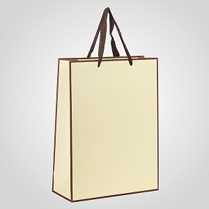Пакет GIFT BAG бежевая от 10 шт