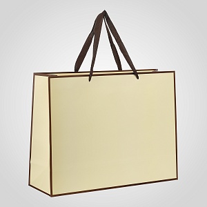Пакет GIFT BAG бумажная бежевая подарочная от 10 шт