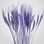 Фиолетовые Сушеные Колосья Пшеницы (Пучок 50 штук)