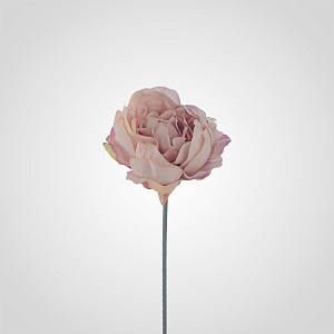 Бутон Пиона Светло-Розовый от 200 штук (Цветоножка продается отдельно)